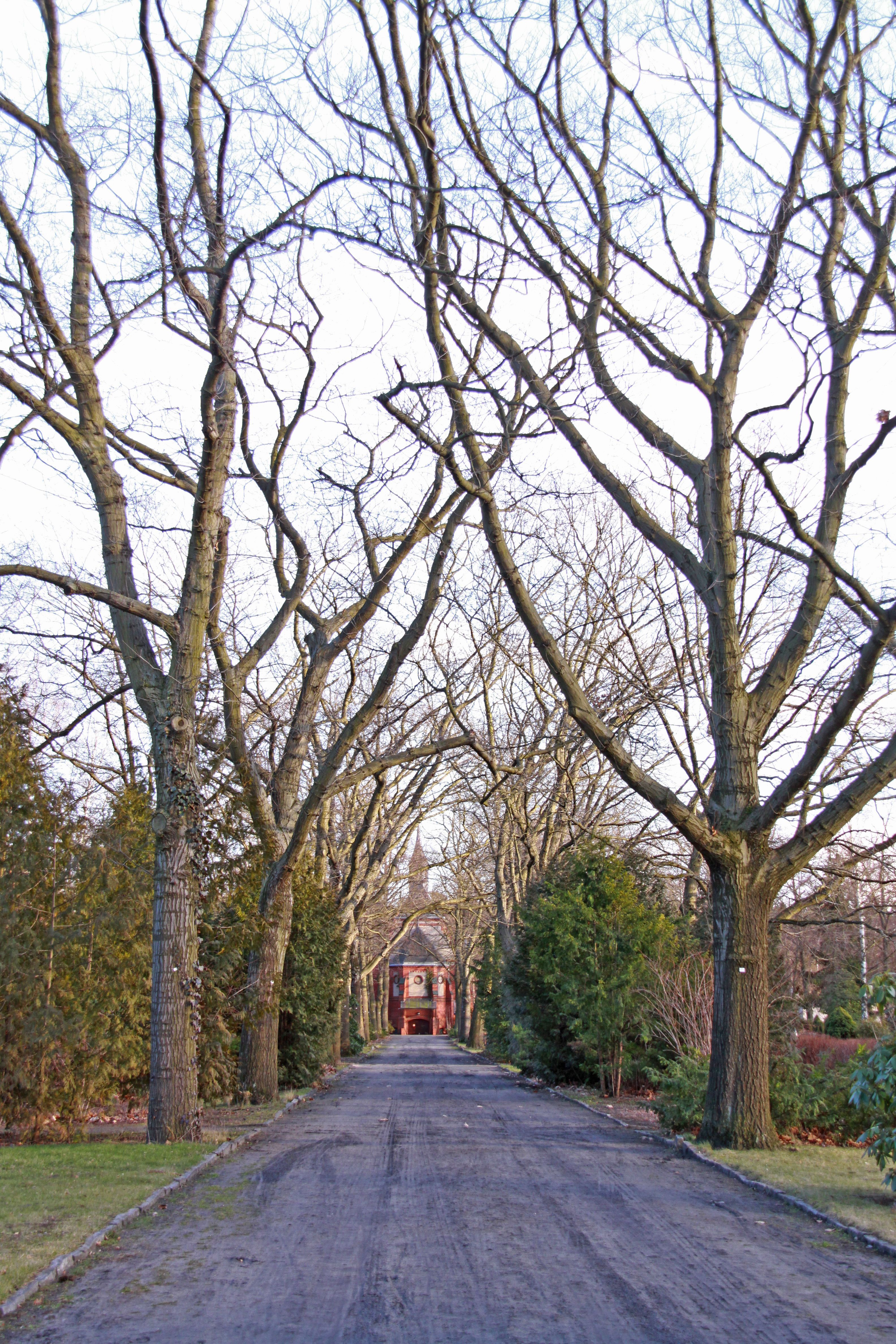 Weg zur Kapelle auf dem Waldfriedhof Oberschöneweide